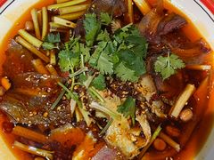 -易老妈蹄花.特色川菜(人民公园总店)