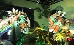 -恐龙探索乐园(磁器口店)