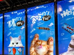 -开心猫无锡三阳广场店