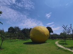 -顺峰山公园