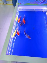 -孩子王童乐园(马群店)