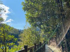 -广州市流溪河国家森林公园
