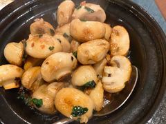 -BaBBo巴博意大利餐厅