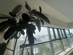 点击看大图 -HEYAN荷妍专业脱毛连锁机构