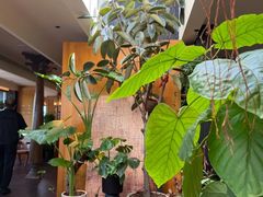 -东湖34号餐厅·湖北菜
