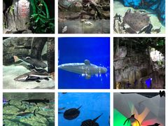 -泉城欧乐堡海洋极地世界