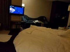 -蓝天清水湾国际大酒店