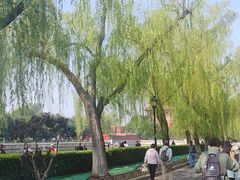 -华夏良子·足道SPA艾灸(王府井店)