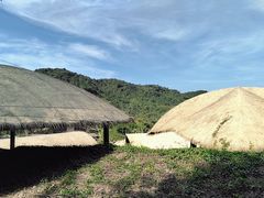-海南槟榔谷黎苗文化旅游区