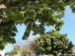 -广州神农草堂中医药博物馆
