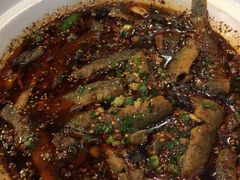 情妹耙泥鳅-情妹耙泥鳅·江湖川菜(科华店)