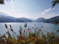 -孔雀湖生态旅游区