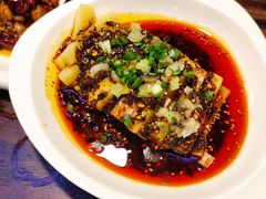-陈麻婆豆腐(旗舰店)