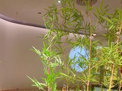 -绿茶餐厅(淮安吾悦广场店)