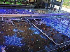 -四海蒸鲜蒸汽海鲜自助(北戴河店)
