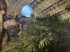 -郑州银基黄帝宫御温泉