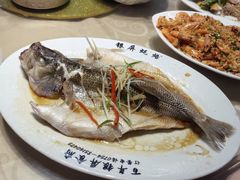 -百年银屏蚝烙·潮汕菜·非遗(乐山店)