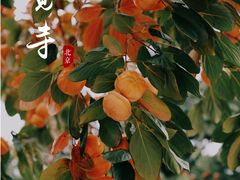 -北京石刻艺术博物馆