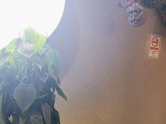 -如轩·海鲜砂锅粥·潮汕菜(沿江东路店)