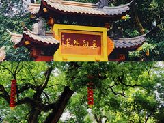 -灵隐飞来峰景区