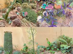 -正佳雨林生态植物园