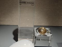 -中国地质博物馆