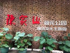 -陈家山荷花公园