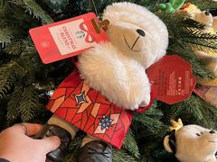 -星巴克臻选(南京艾尚天地店)