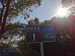 -贡湖湾湿地公园