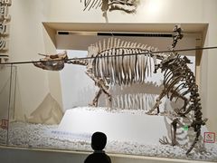 -国家自然博物馆