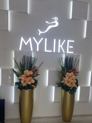 -深圳美莱医疗美容医院