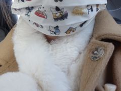 -佳雯宠物医院(四明中路分院)