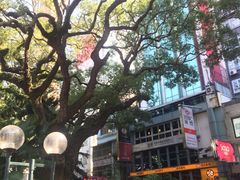 -九龙公园