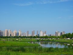 -洋湖国家湿地公园