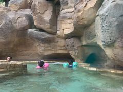 -杭州开元森泊度假乐园