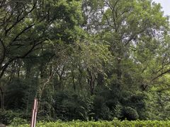 -赭山公园