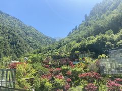 -古尔沟华美达温泉度假酒店