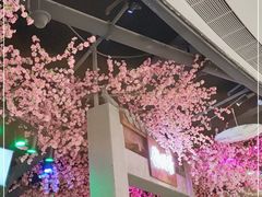 -韵秋荷(宝山龙湖天街店)