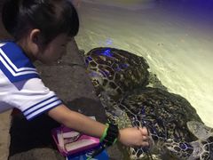 -华夏文旅海洋公园