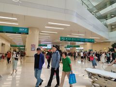 -中国人民解放军总医院