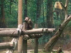 -西安秦岭野生动物园