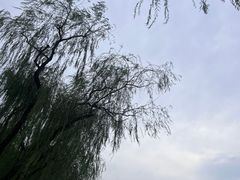 -什刹海