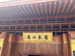 -深圳仙湖植物园