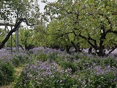 -江苏三台山国家森林公园