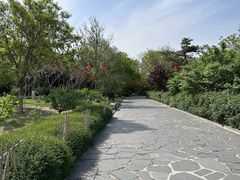 -蓬莱阁景区