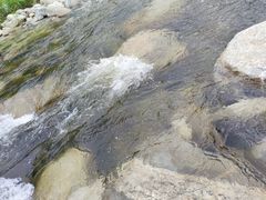 -沣峪口