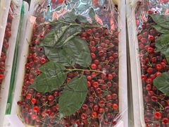 -双福水果批发市场