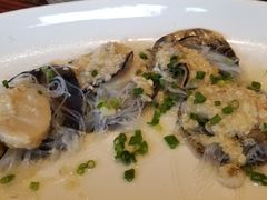 帶子-顺德了能馆(虎门店)