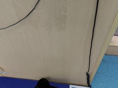 -宠颐生猫科·内科皮肤科(西平世纪城店)