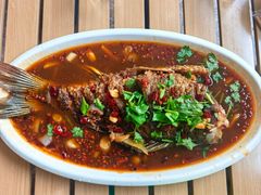 -阿五黄河大鲤鱼(纬三路店)